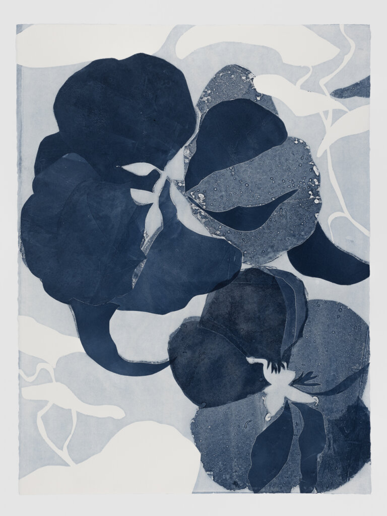 many layered nasturtium flowers in shades of pale blue, indigo, and white