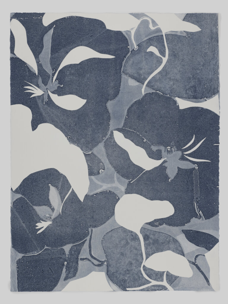 many layered nasturtium flowers in shades of pale blue, indigo, and white