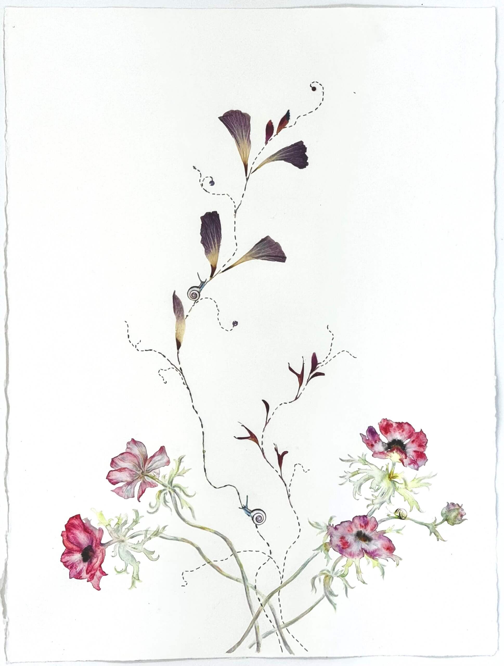 Image of Ranunculus and an Embroidered Vine 2024