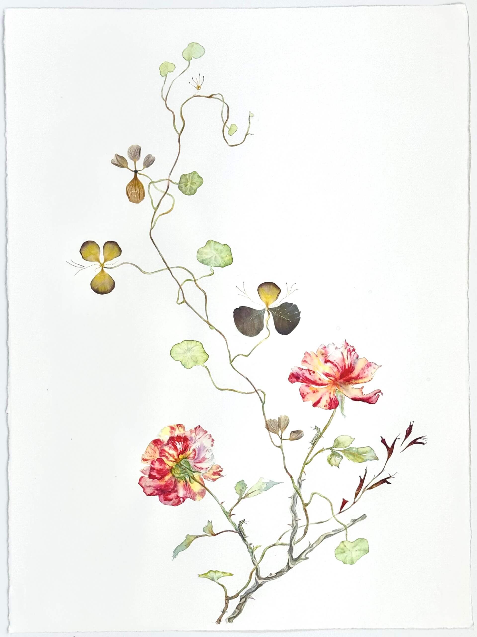 Image of Two Roses and Embroidered Vine 2024