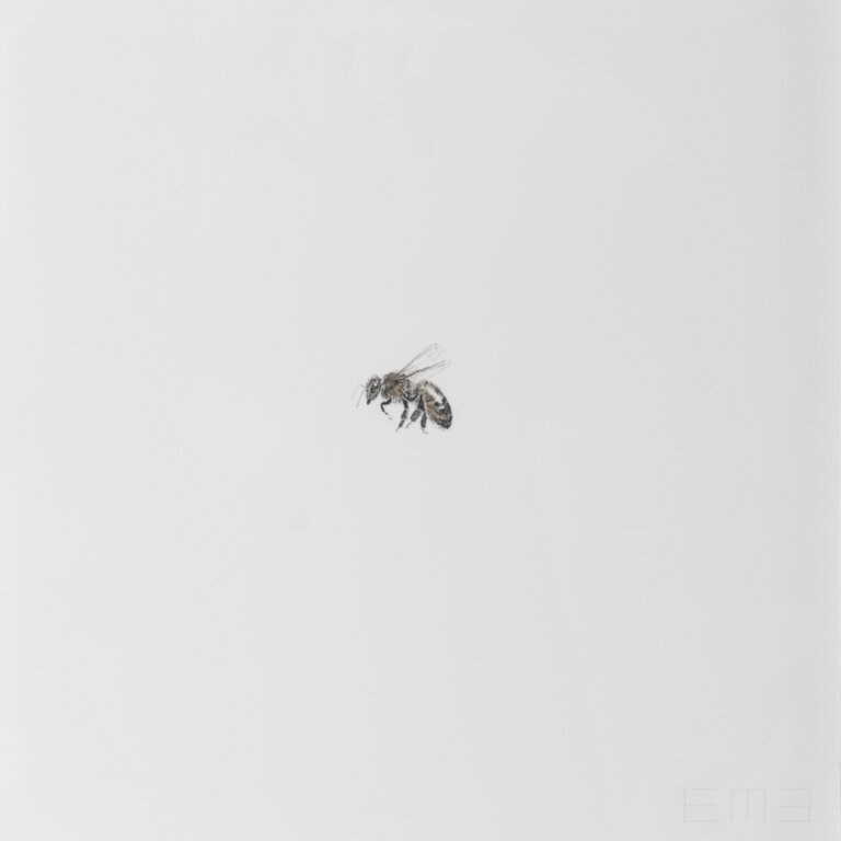 a graphite and charcoal drawing of a bee in profile facing to the left. the rest of the paper is white negative space
