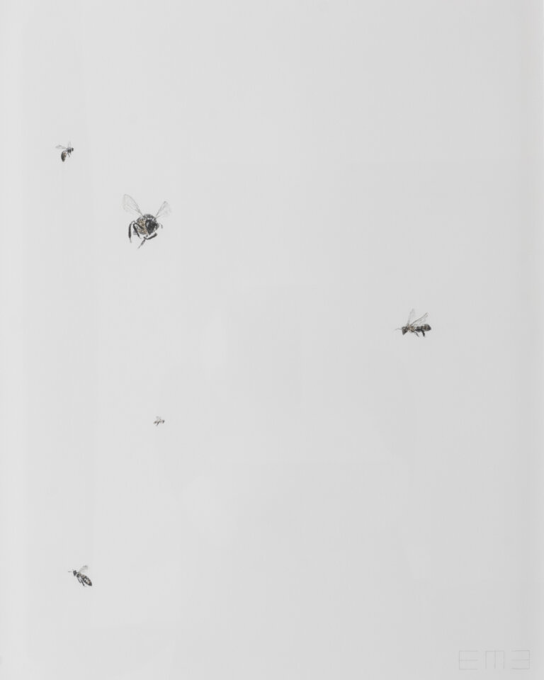 a charcoal and graphite drawing on paper of multiple bees in flight, some large and some small to create perspective, against a white background