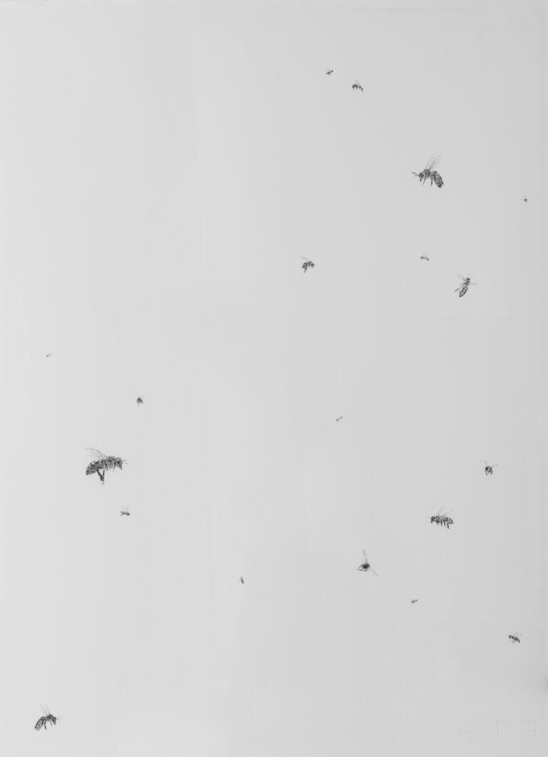 a charcoal and graphite drawing on paper of multiple bees in flight, some large and some small to create perspective, against a white background