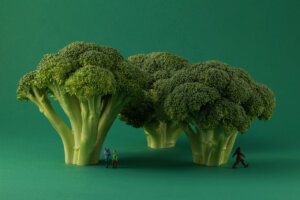 Photo of Broccoli Bigfoot artwork