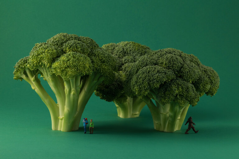 a playful artistic photograph of three heads of broccoli standing up like trees against a cool green background. underneath the left most broccoli stand two figures in hiking garb facing left. under the right most broccoli is Sasquatch in his typical wide step pose.