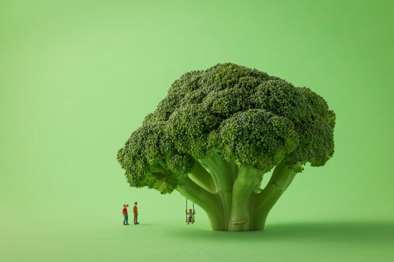an playful artistic photograph of a head of broccoli set up like a tree against a light green background. there is a small figure sitting on a swing, swinging from one of the broccoli "branches" while two other figures look on.