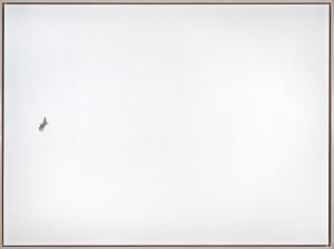 Photo of Untitled (bronc rider) 37 artwork