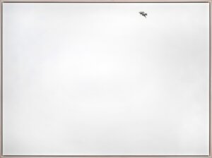 Photo of Untitled (bronc rider) 38 artwork