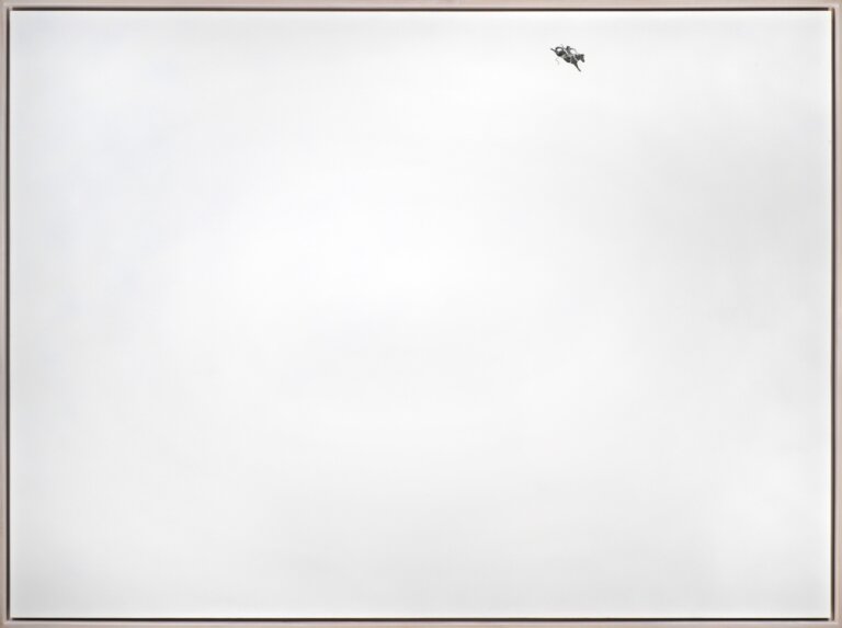 Graphite on gessoed hard board, small black bronc rider drawn on the top right corner