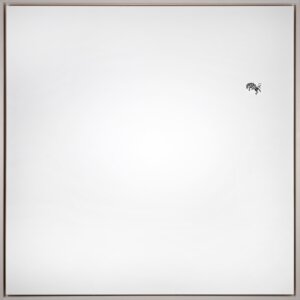 Photo of Untitled (bronc rider) 39 artwork