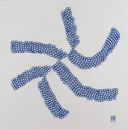 Image of Rolling Undone