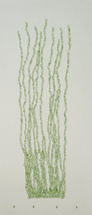 Photo of Time Grows Illusion artwork