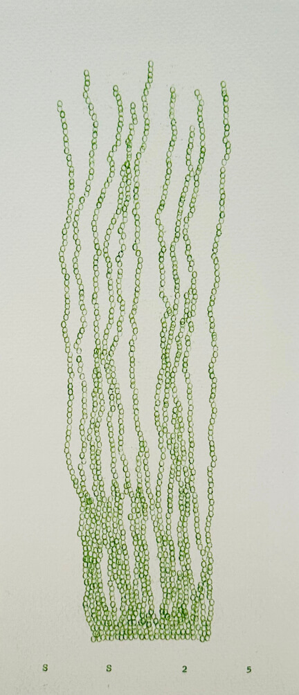 Image of Time Grows Illusion