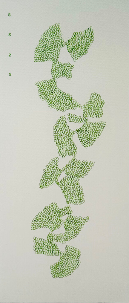 Image of Time Waits Not