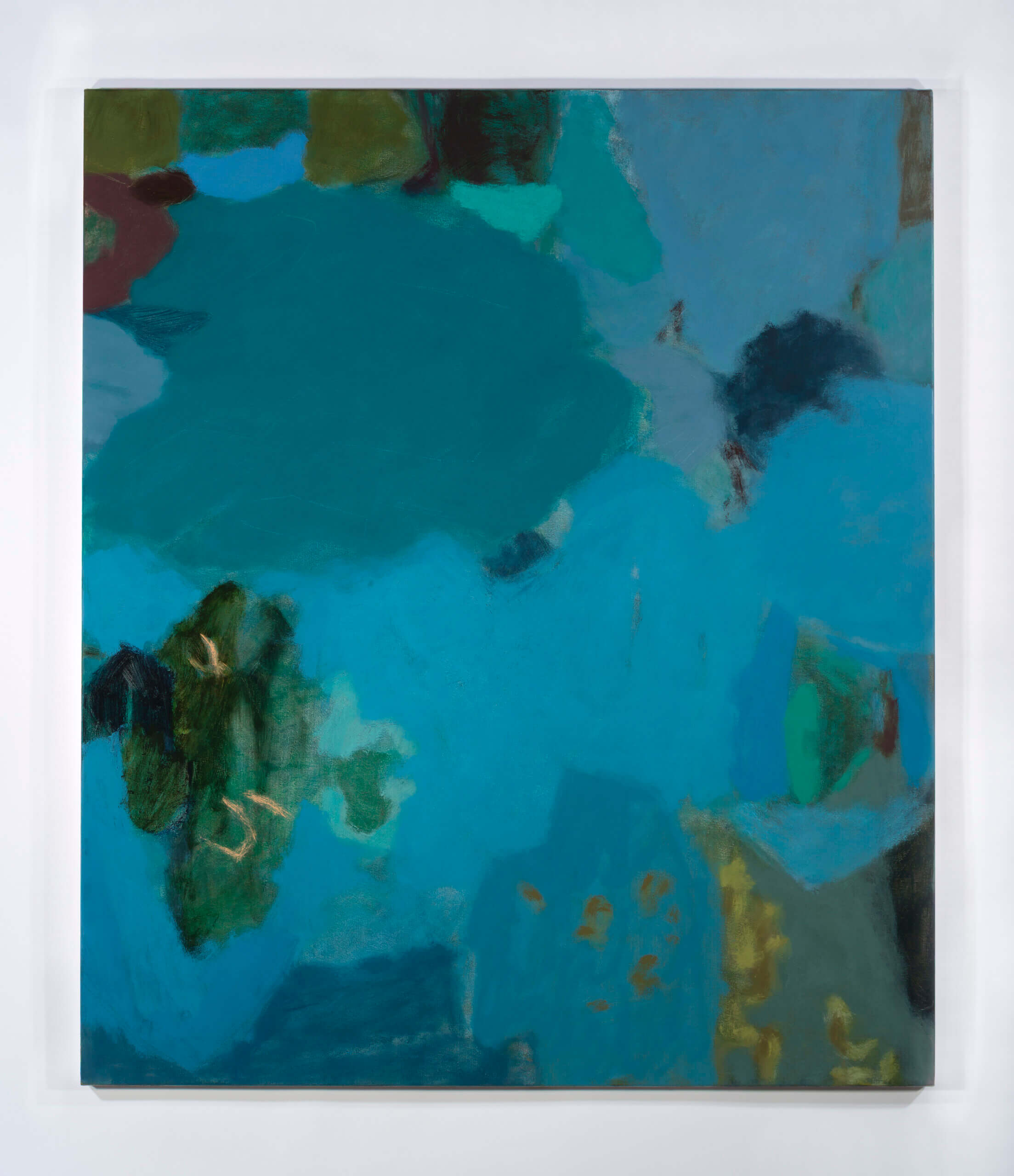 Image of Cedar, Cypress, Palm