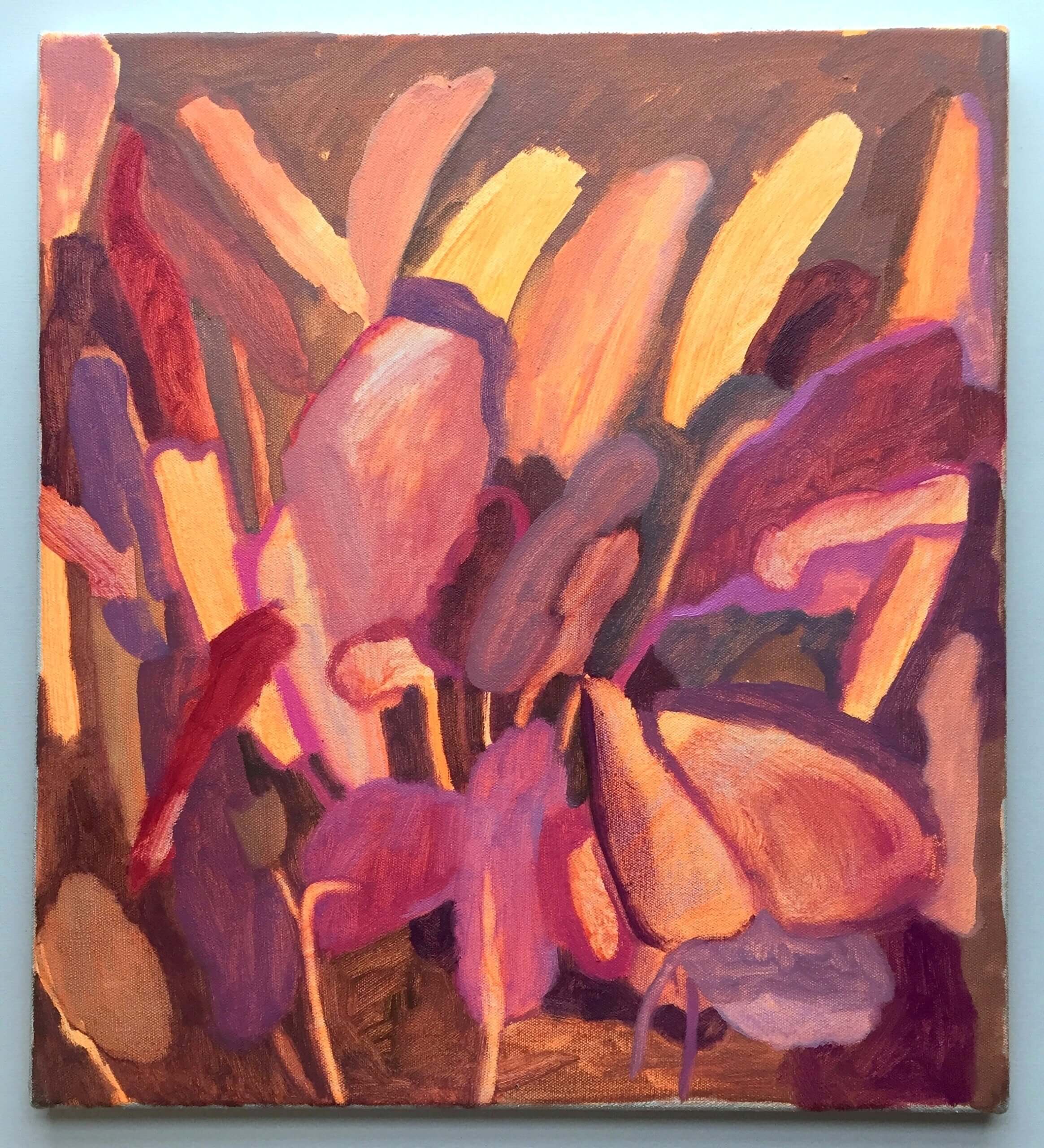 Image of Prayer Plants