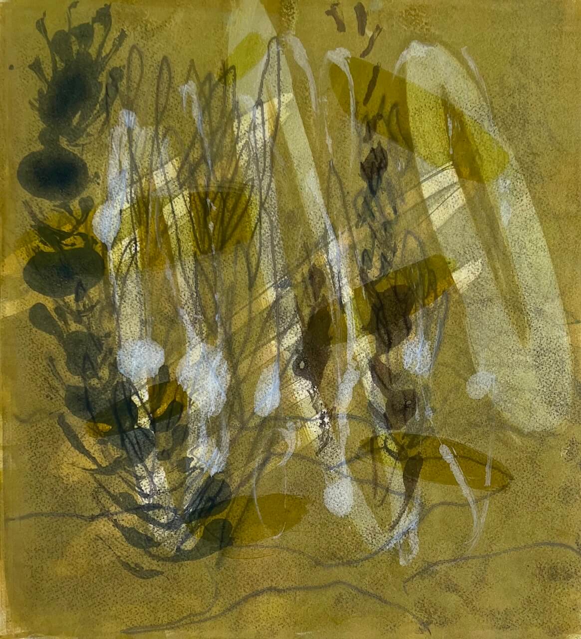 Image of Indian Creek