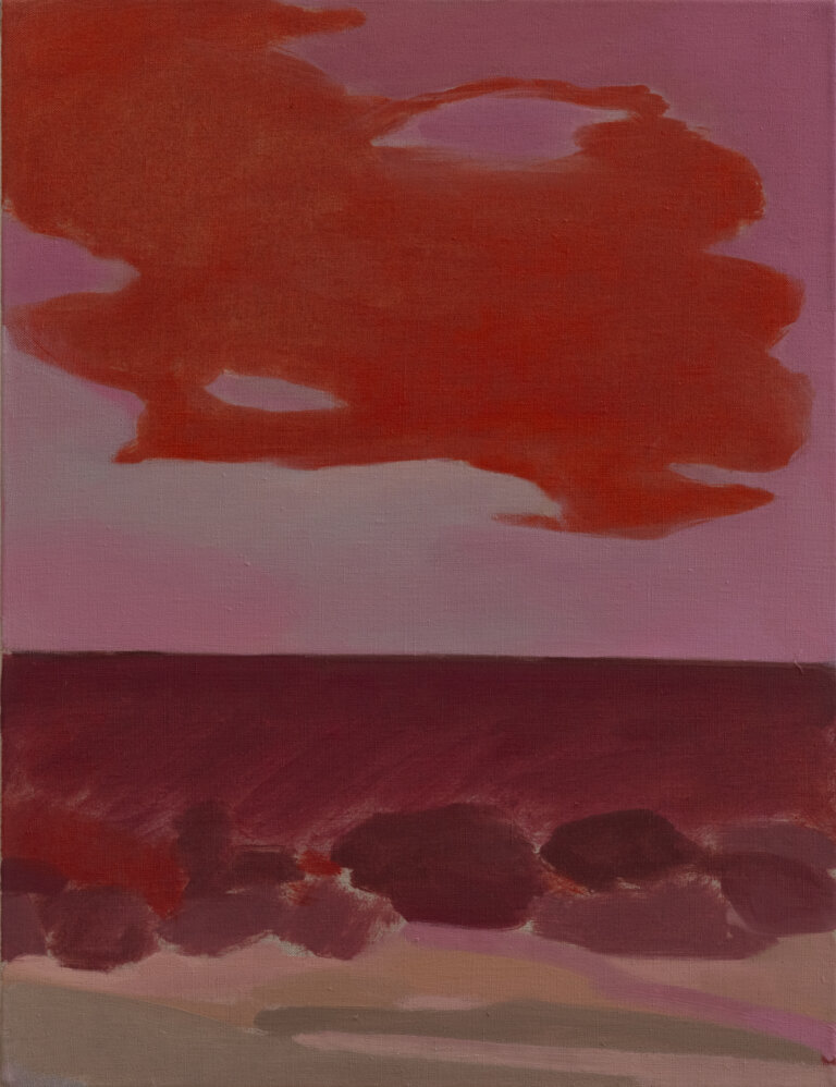 a landscape with in pinks, reds, deep purple, mauve, and rust. the landscape has a flat horizon line in the distance with shrubbery and rocks scattered in the foreground. there is a bright red cloud in the center of the pale pink sky