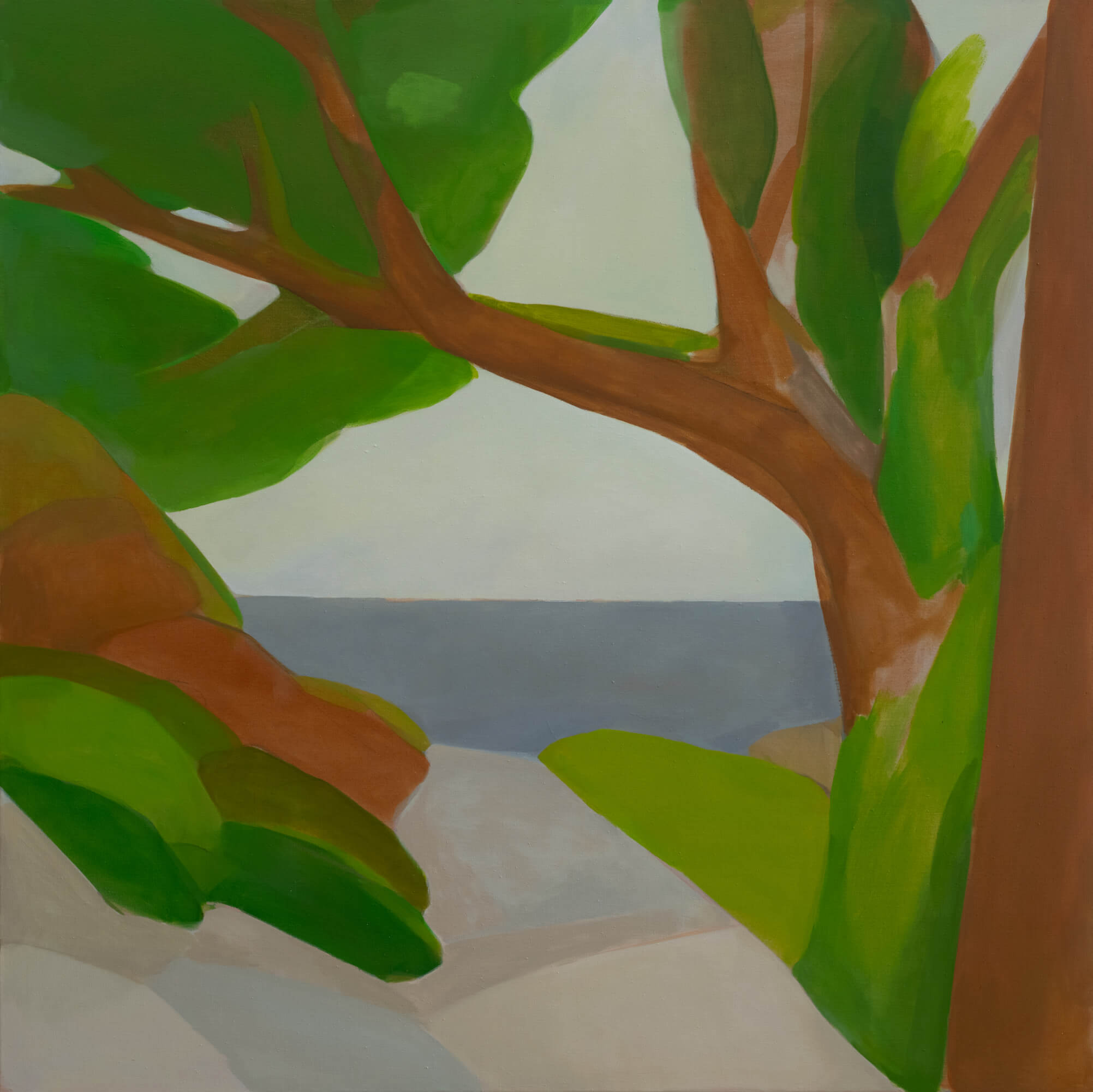 Image of Open Mind (The Pacific)