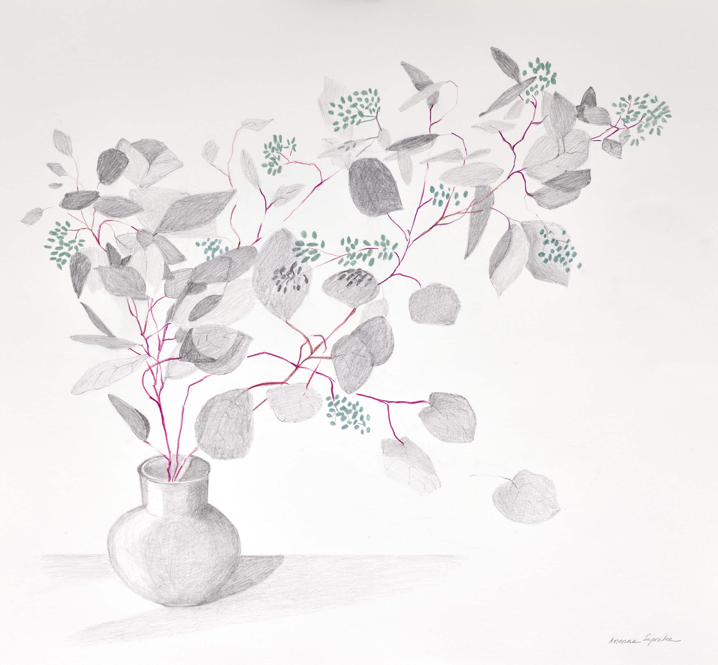 Image of Eucalyptus Still Life