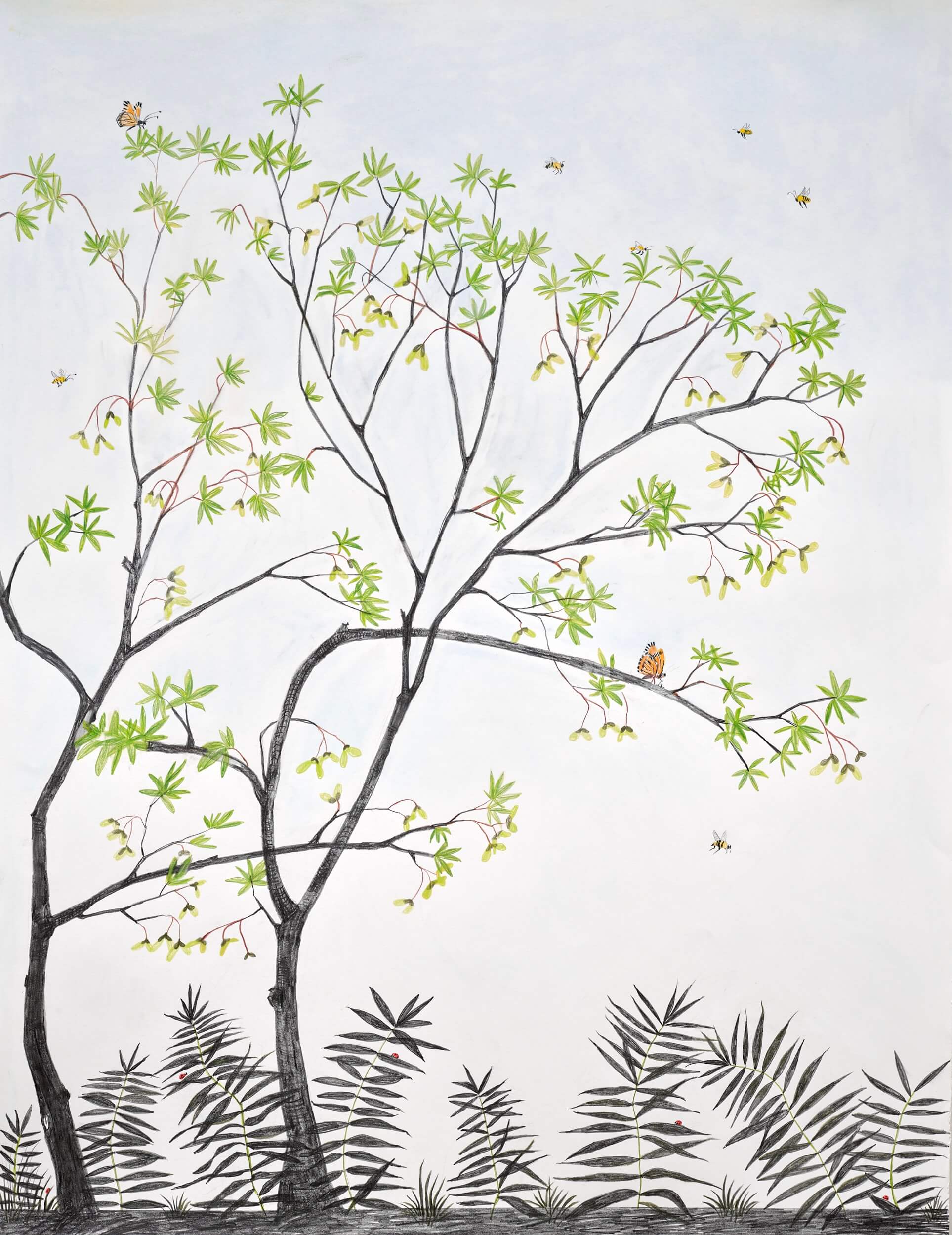 Image of Spring 2025