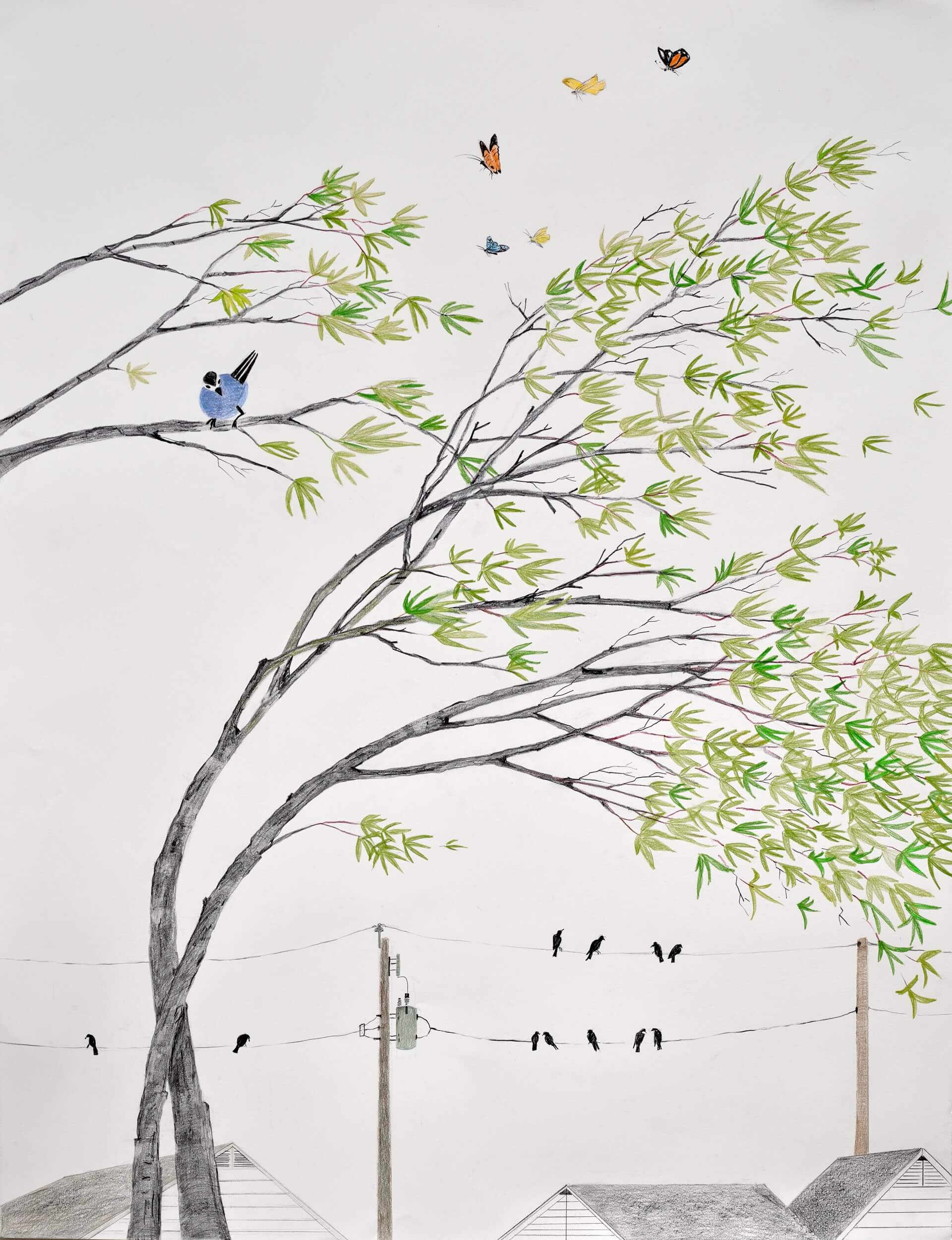 Image of Summer Wind