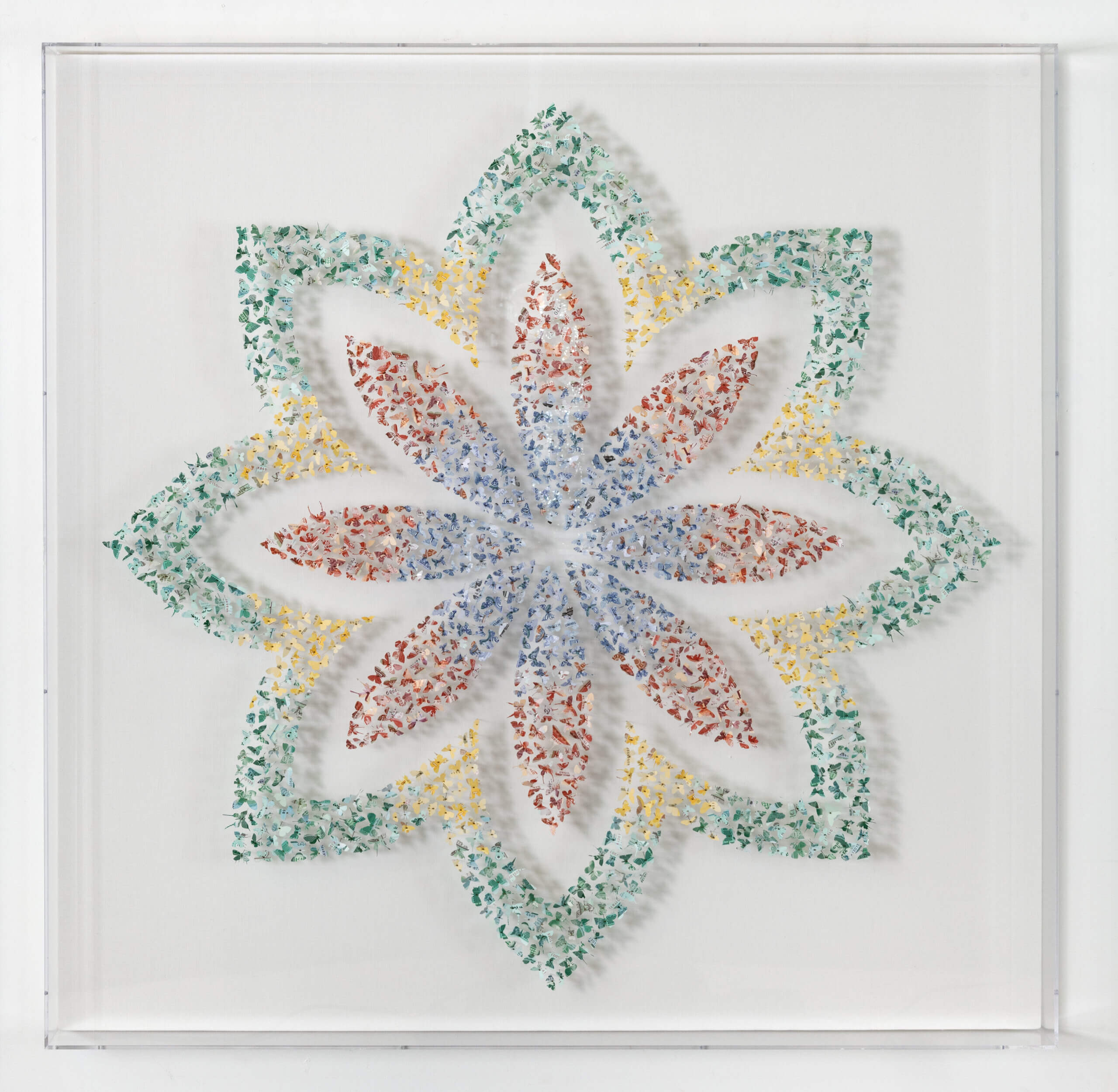 Image of Old Friend Come Back Home