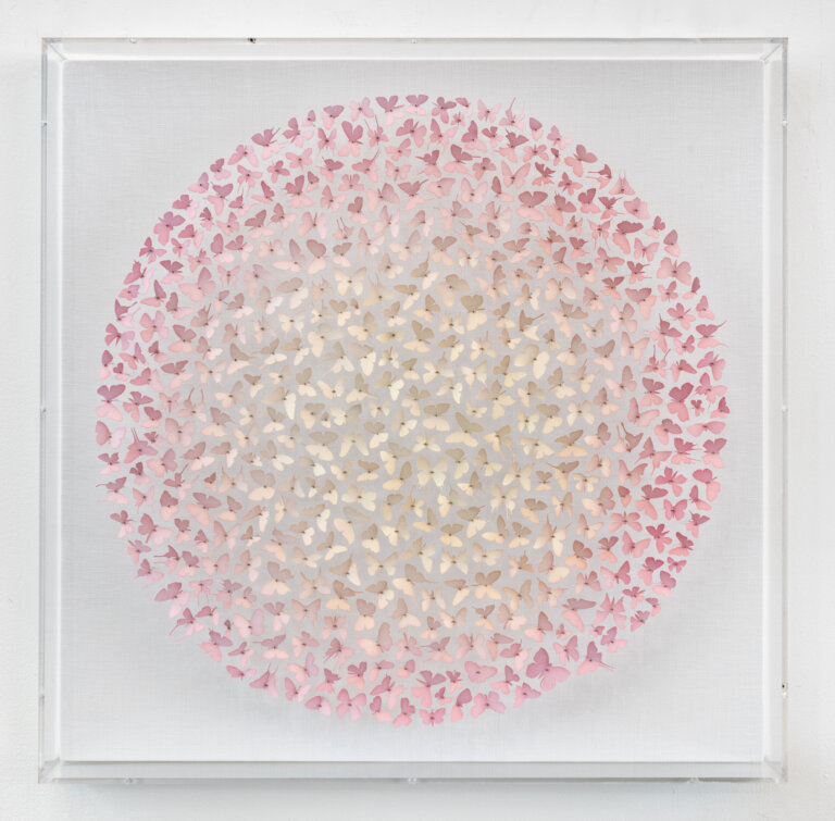 an abstract 3d art piece in the shape of a circle. there are tiny butterflies cut out and mounted on pins, arranged in a circle. the center is pale yellow, and as the circle radiates outward, the color deepens to a rosy pink