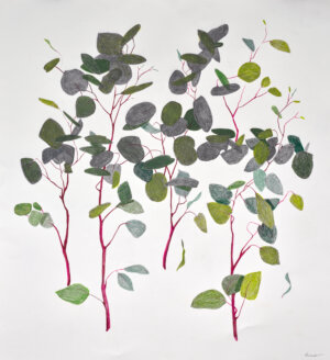Photo of Eucalyptus 2025 artwork