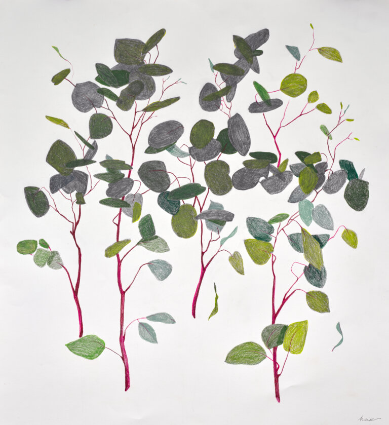a handful of pink branches of eucalyptus with green and gray leaves against a white background