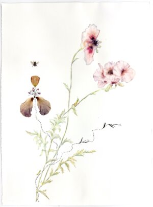 Photo of A Floral Competition artwork