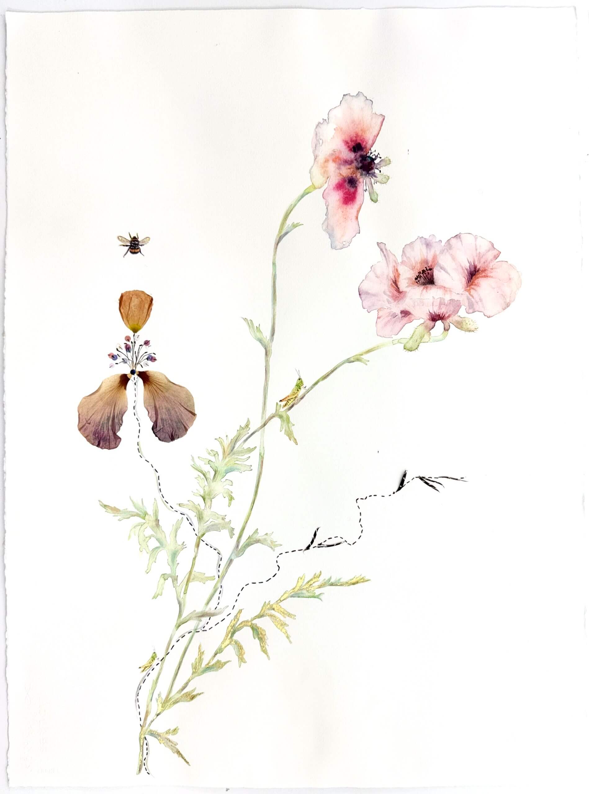 Image of A Floral Competition