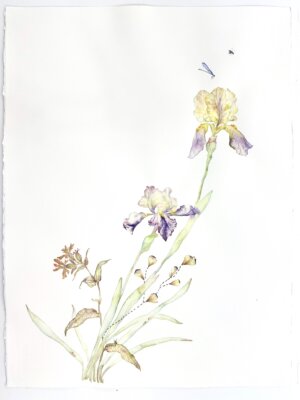 Photo of Golden on Top 2025 artwork