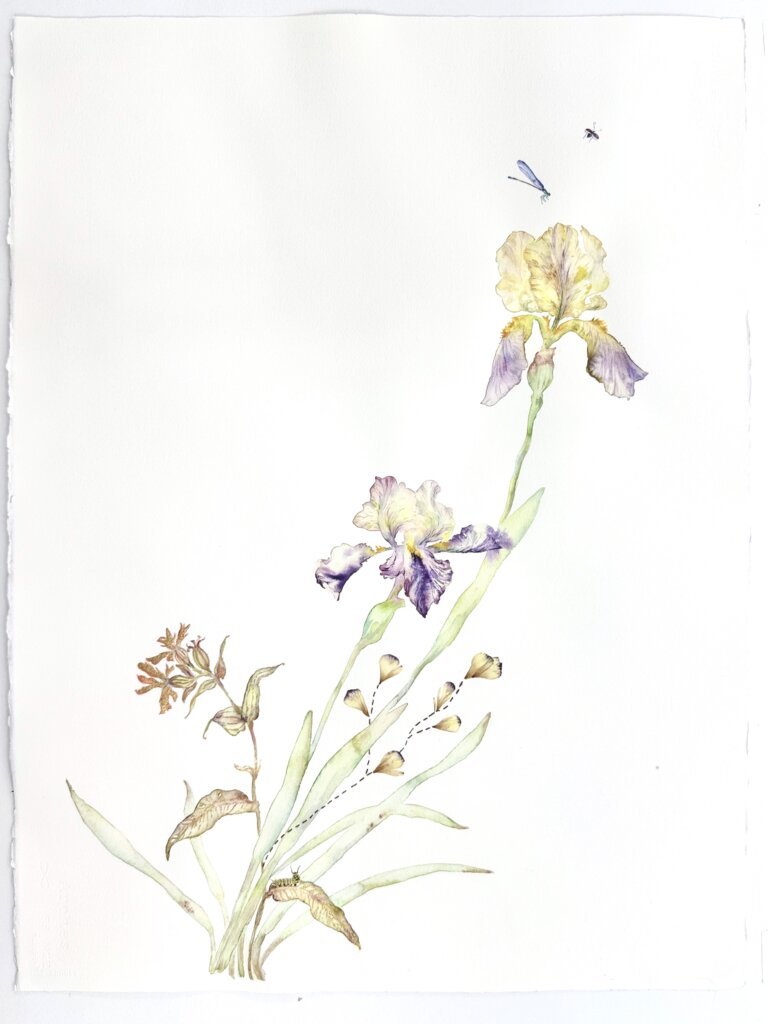 an abstract floral watercolor with collage elements featuring several blooms on a single stem. there are dried floral elements and stitching that accent this piece and take it from a delicate botanical to a moving abstraction of nature.