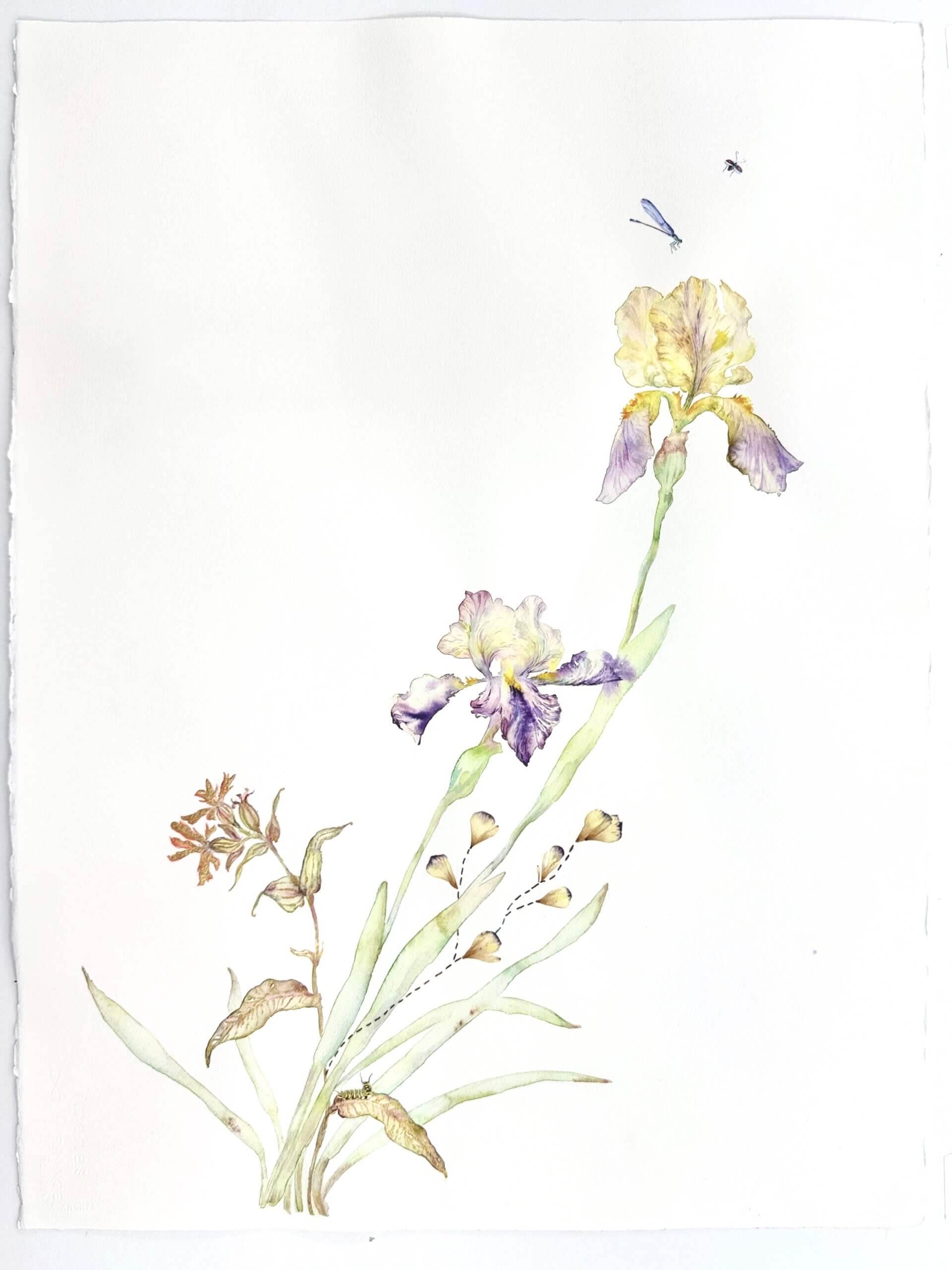 Image of Golden on Top 2025