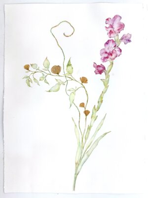 Photo of Hot Pink 2025 artwork