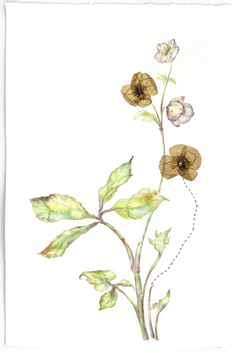 an abstract floral watercolor with collage elements featuring several blooms on a single stem. there are dried floral elements and stitching that accent this piece and take it from a delicate botanical to a moving abstraction of nature.