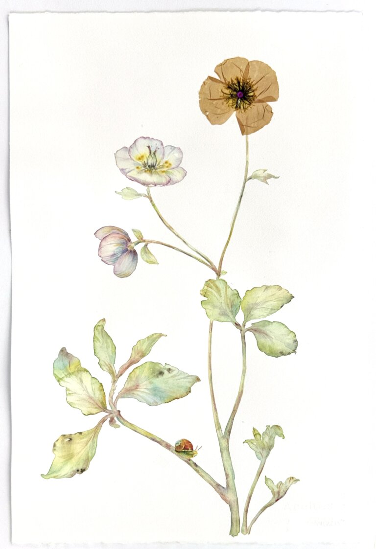 an abstract floral watercolor with collage elements featuring several blooms on a single stem. there are dried floral elements and stitching that accent this piece and take it from a delicate botanical to a moving abstraction of nature.