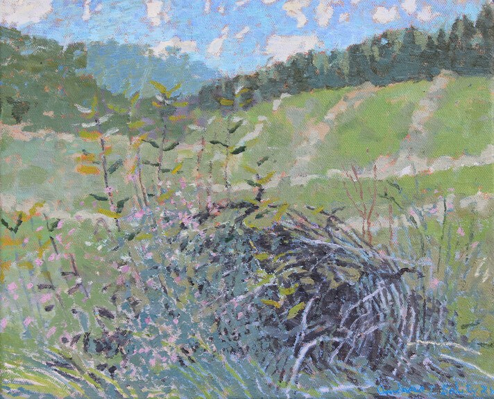 Image of Untitled (Brushpile)