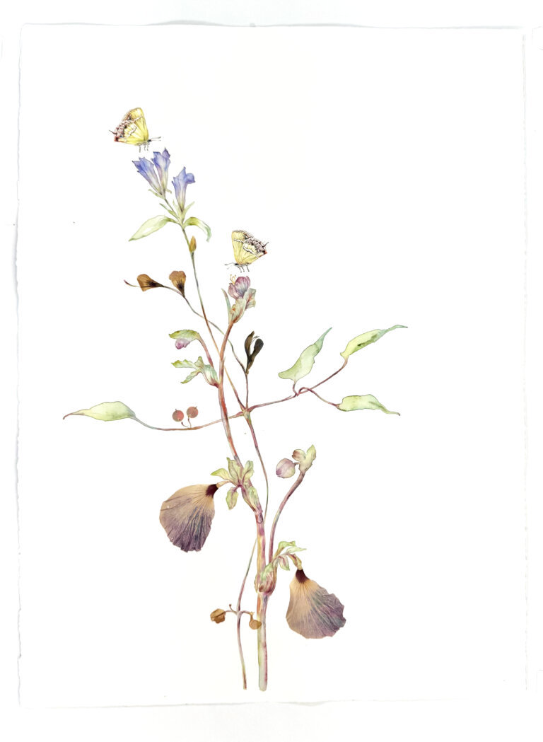 an abstract floral piece with one large stem that curves upwards from the bottom. flowers and leaves are watercolored in soft tones. there are also collage elements, including dried flowers, thread, sequins, and paper. two butterflies are included appearing to pollinate the flowers.