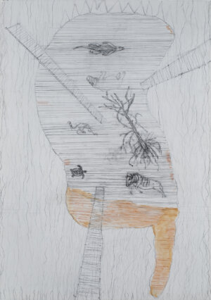 Photo of American Swampland artwork