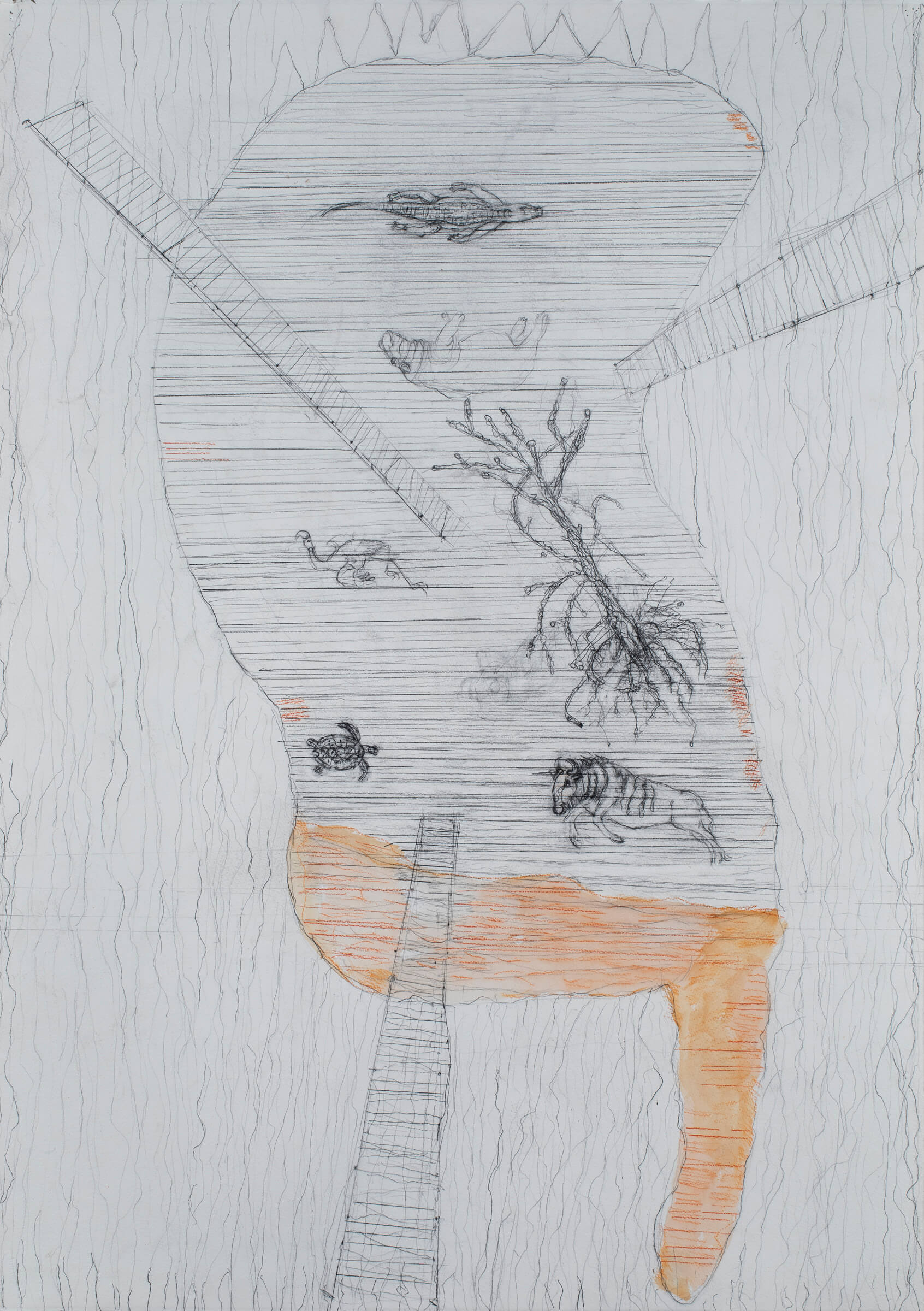 Image of American Swampland