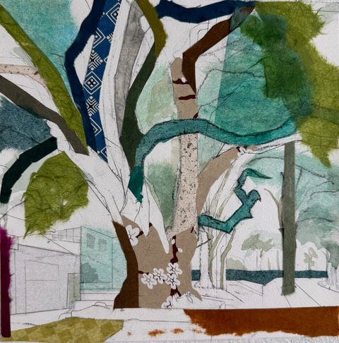 Image of Cragmont Avenue Oak Haiku