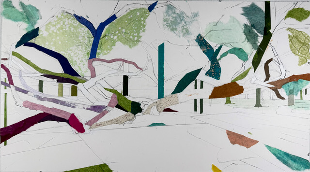 Image of Octopus Tree (Tietze Park Oak)