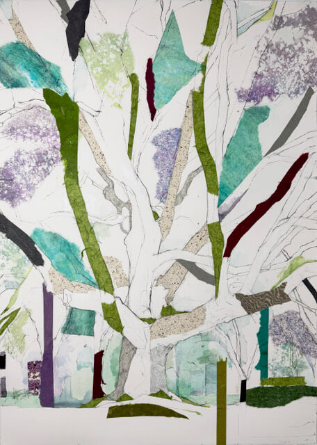 Image of Westway Avenue Oak (Enfold)