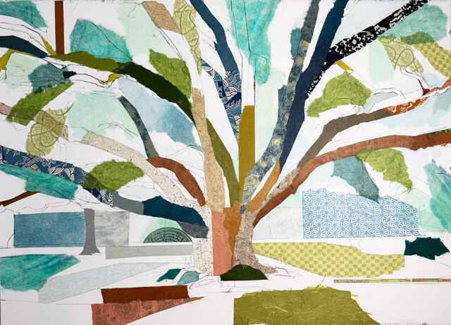 Image of Williams Park Oak I