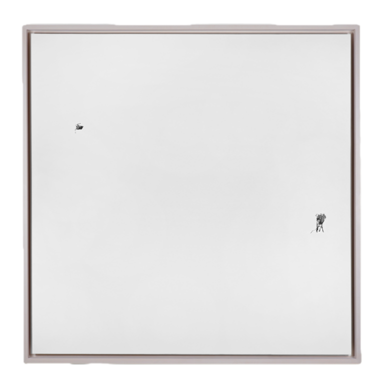 a highly detailed illustration of a rider flying off a bucking horse in motion drawn painstakingly in graphite. The horse is in the bottom center right and the rider is in the top center left of a large white panel board