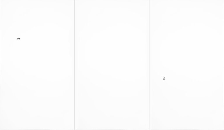 a highly detailed illustration of a rider on a bucking horse in motion drawn painstakingly in graphite on three large white panel boards, the middle board is just white while the left panel depicts the bucking bronco and the right depicts the rider in the air. the assumption is the bronc has bucked the rider.