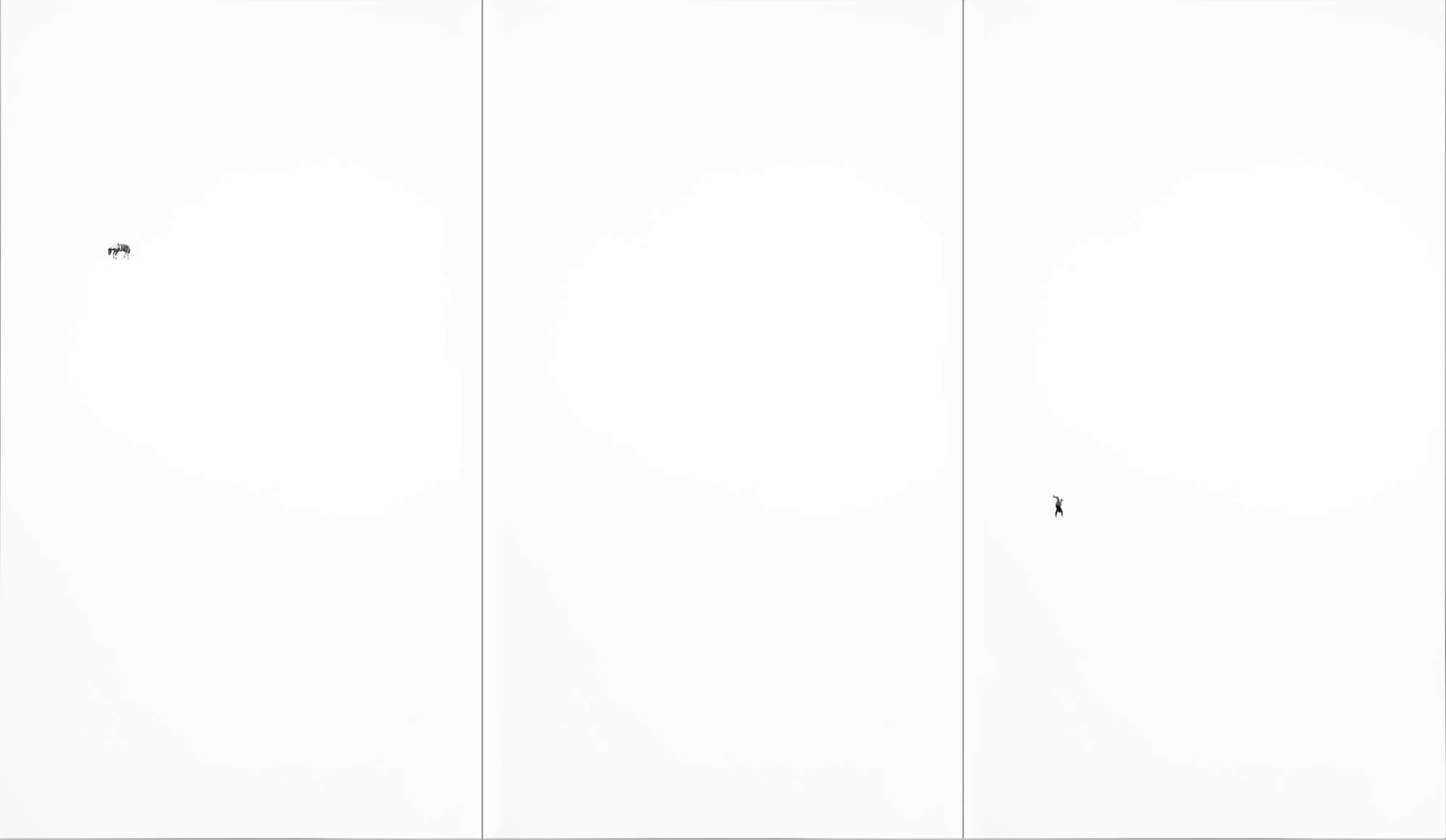 Image of Untitled (bronc rider) 47