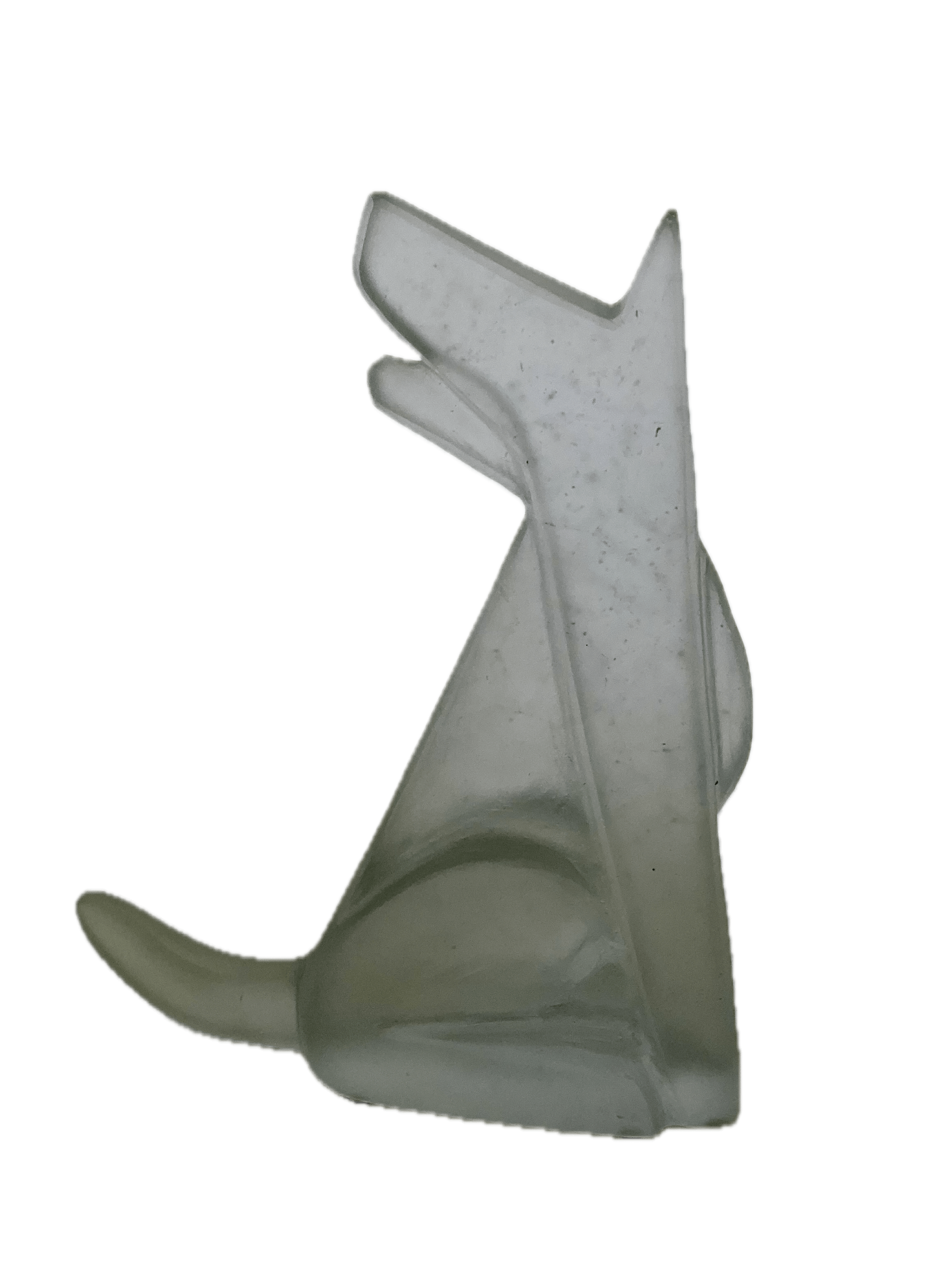 Image of White Wolf 2026